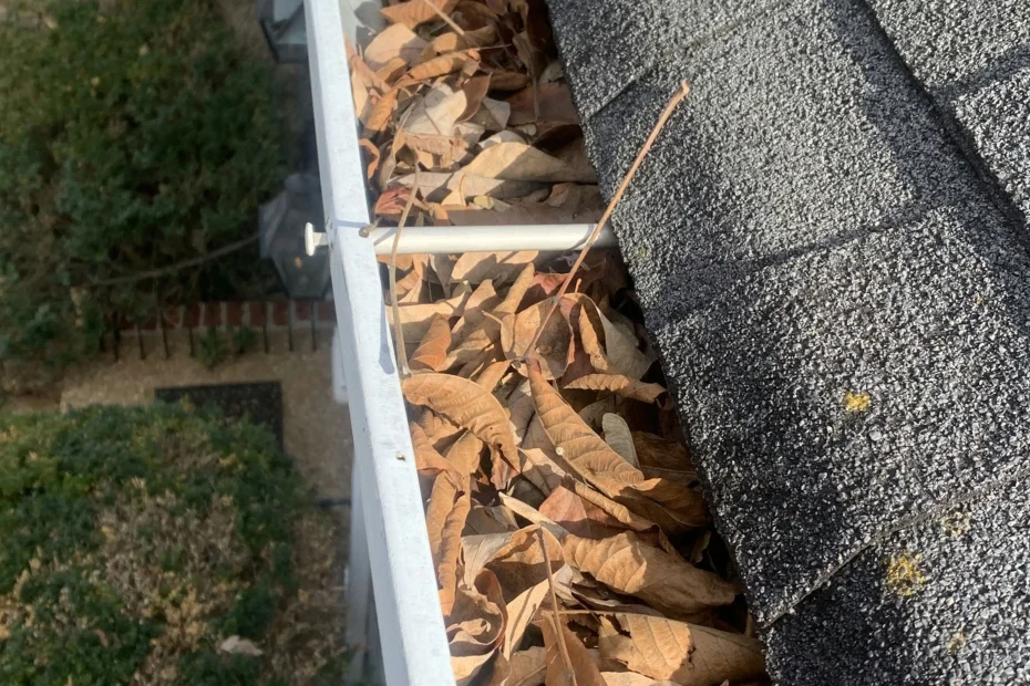 Gutter Cleaning Dania Beach FL