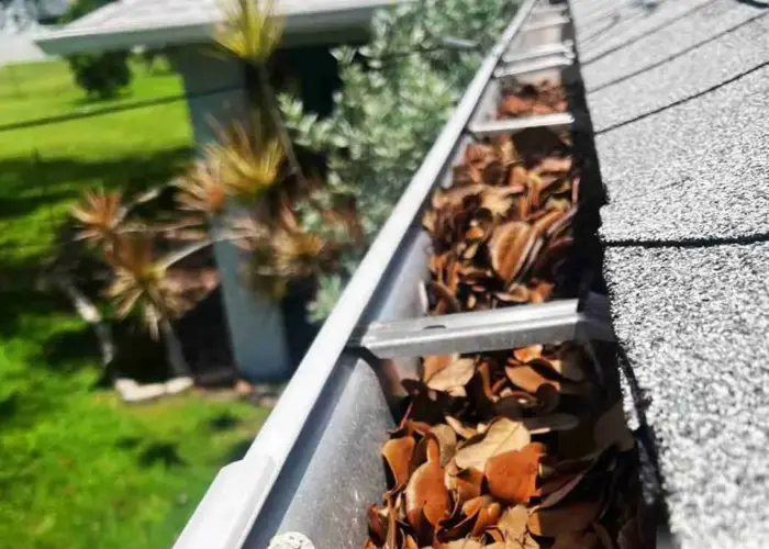 Gutter Cleaning Dania Beach FL home page