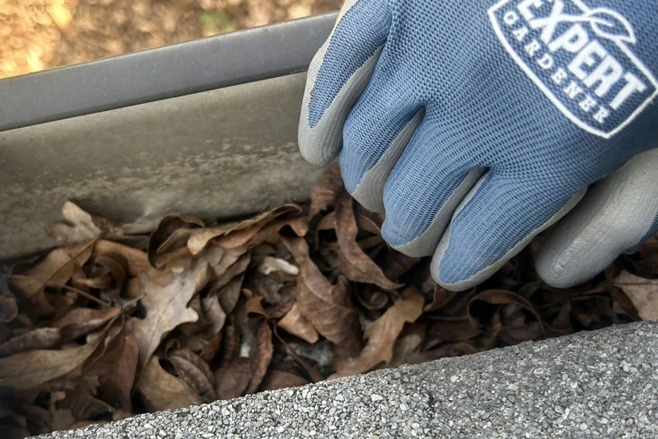 Dania Beach Gutter Cleaning