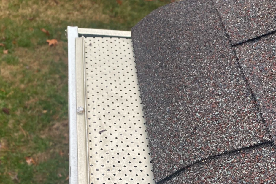 Dania Beach Gutter Cleaning